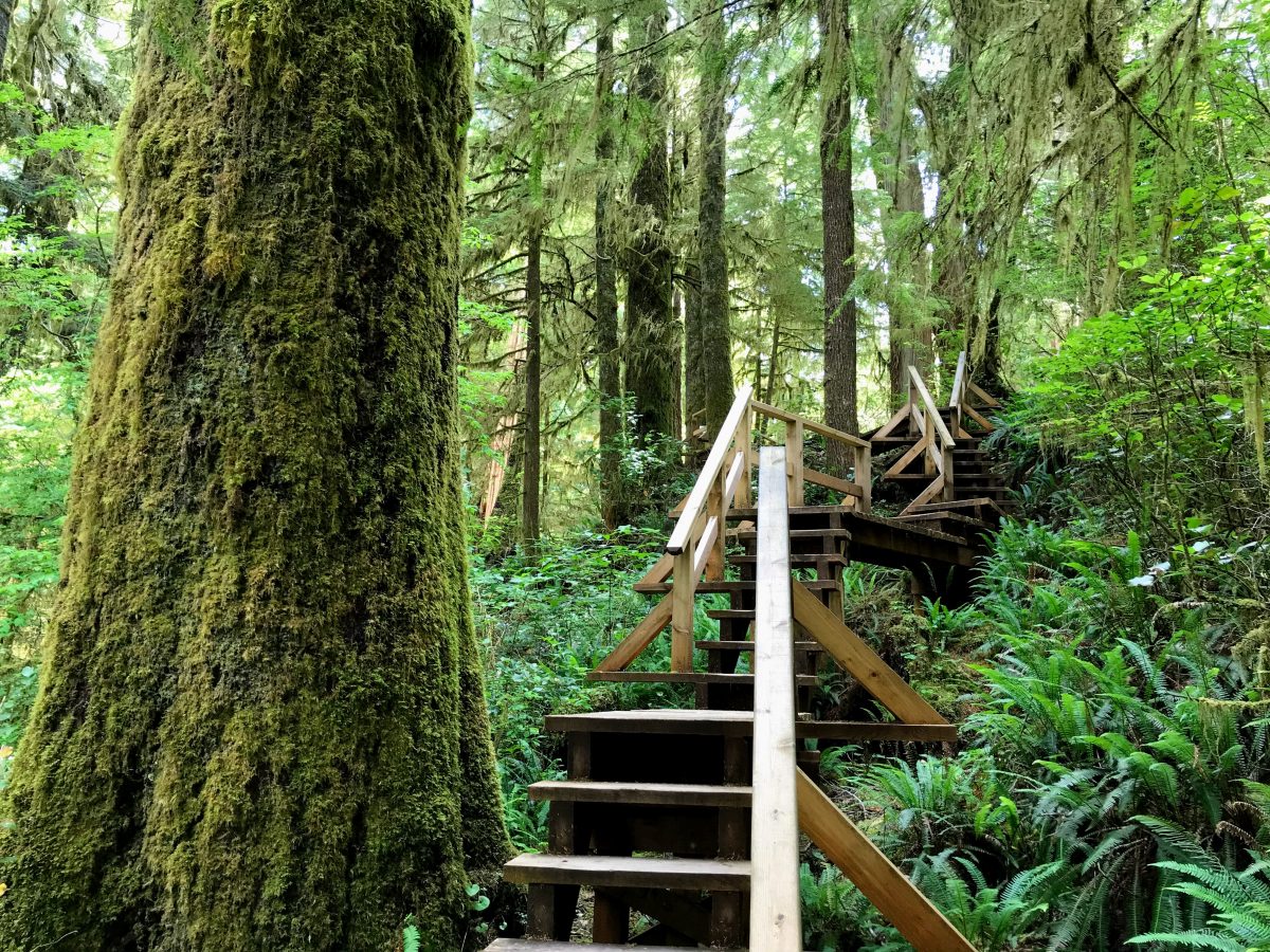 Wandelen Tofino