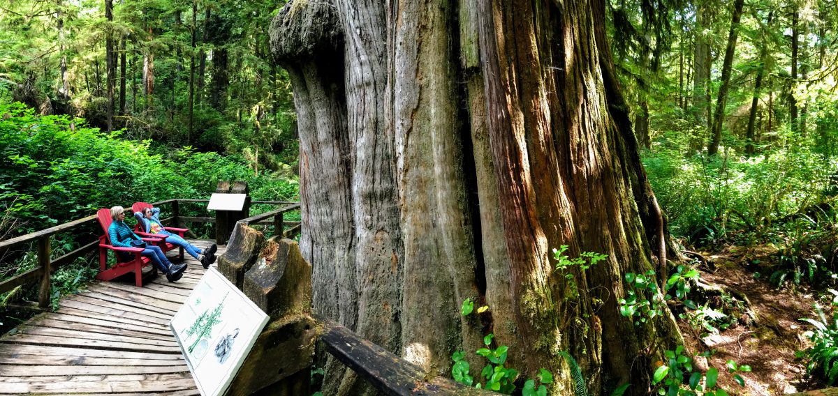 Pacific Rim National Park Tofino