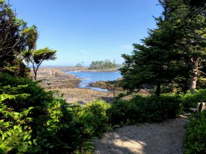 Lighthouse loop - Wild Pacific Trail