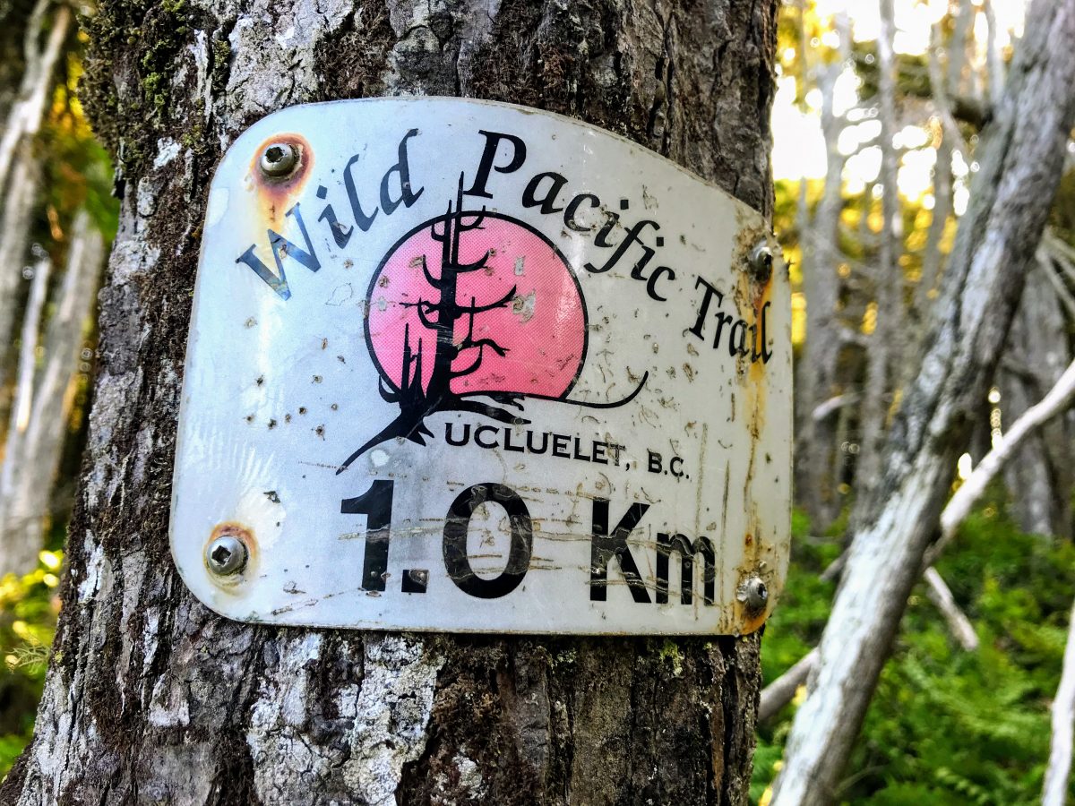 Wild Pacific Trail B.C. Ucluelet 1.0 km 