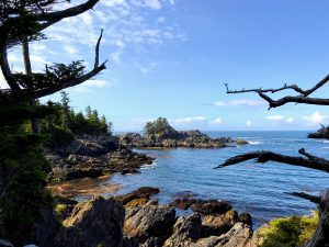Wild Pacific Trail wandeling Ucluelet