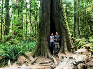 Cathedral Grove Trail Vancouver Island