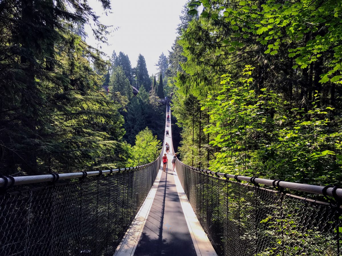 hangbruggen - Capilano Suspension Bridge