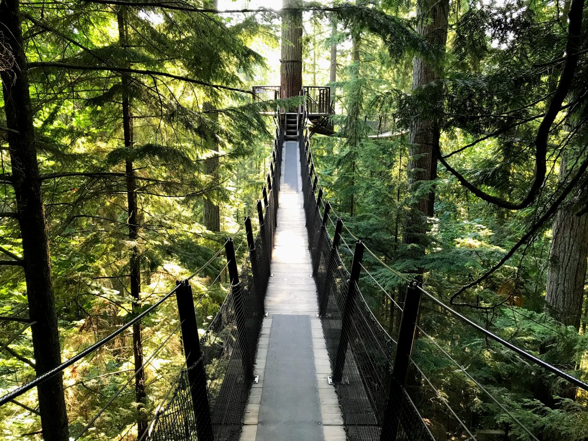 Capilano Tree Top Walk