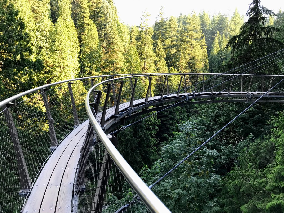 Capilano Cliff Walk