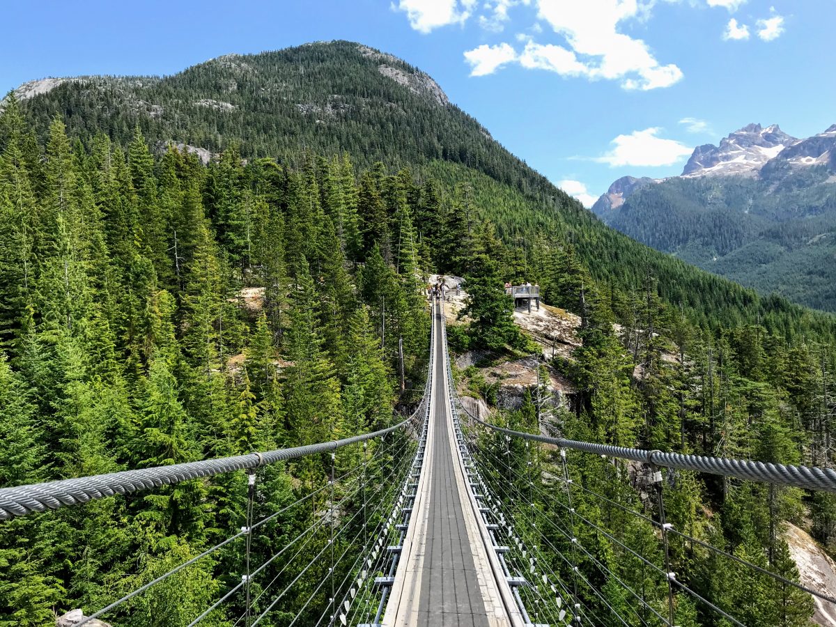 Sky Pilot Suspension Bridge