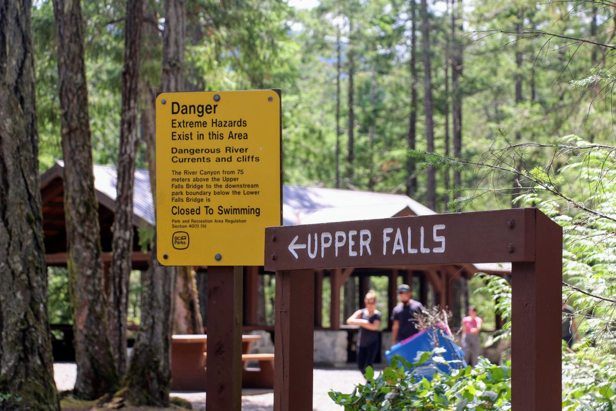 Upper Falls - Little Qualicum Falls Provincial Park