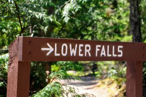 Lower Falls - Little Qualicum Falls Provincial Park