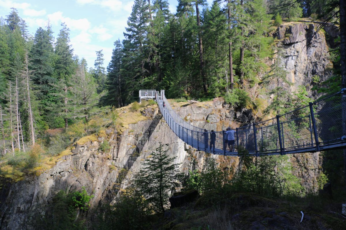 Elk Falls Suspension Bridge