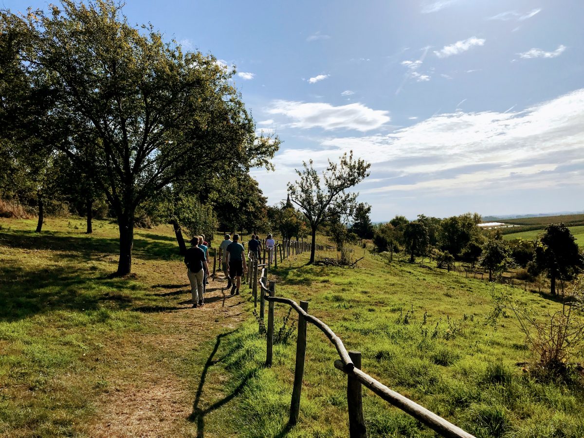 Wandeling doorkijkkerk