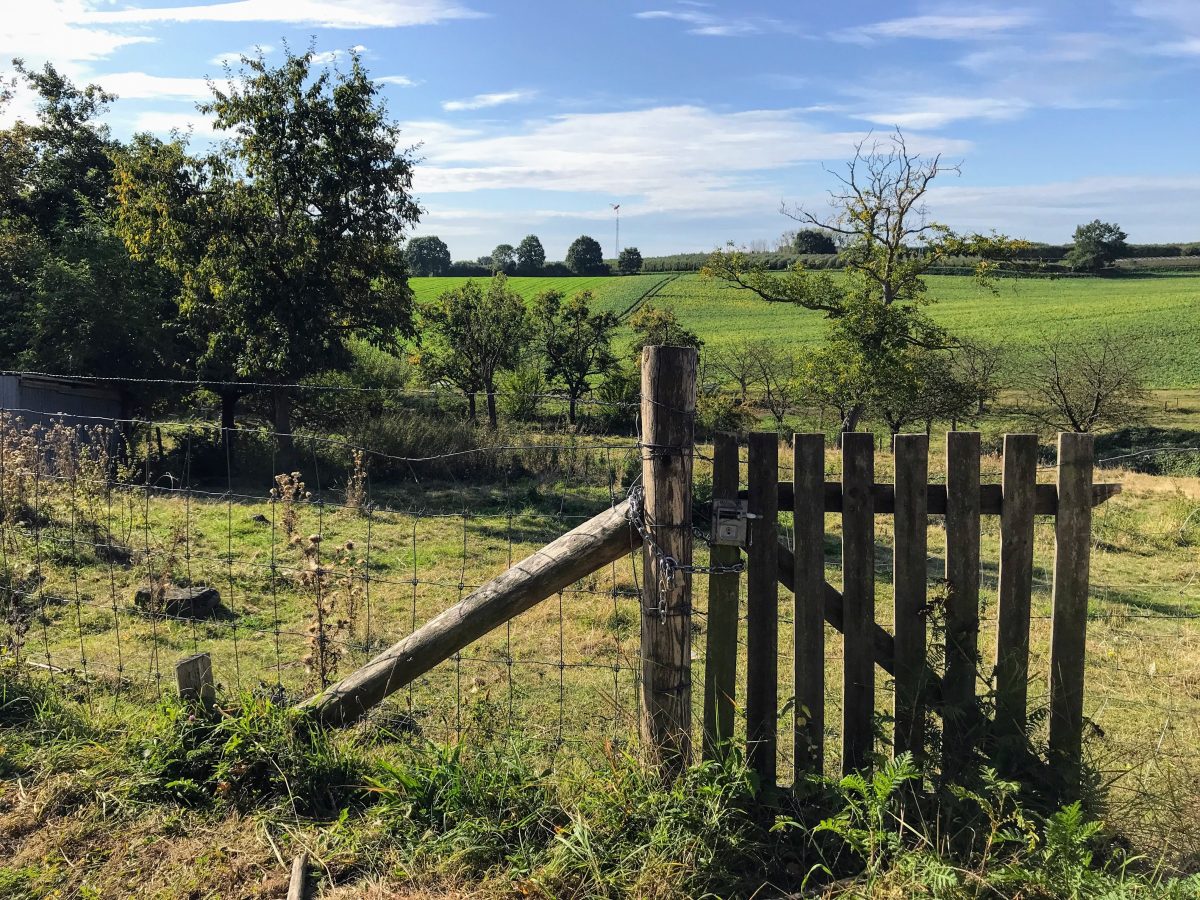 Limburgs landschap in Borgloon