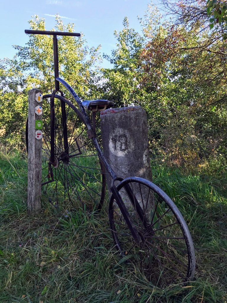 Oude fiets in het veld