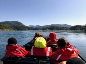 Whale Watching Tours Eagle Eye Adventures