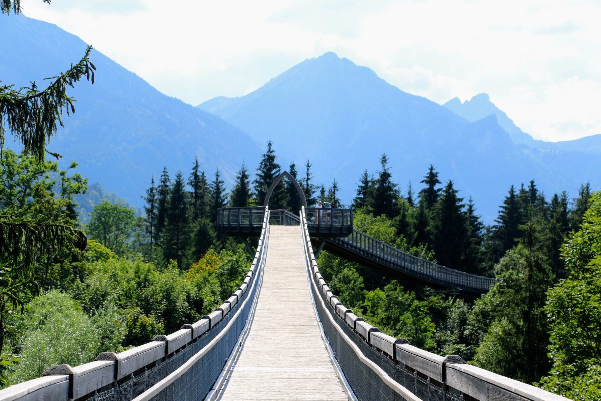 Baumkronenweg Ziegelwies