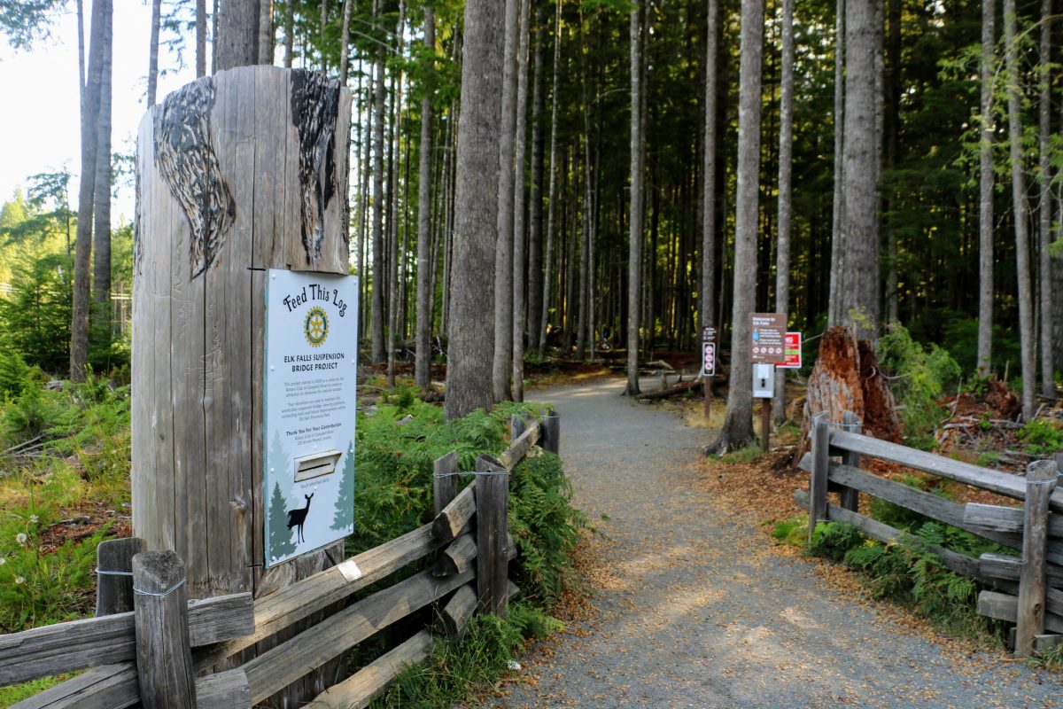 Elk Falls Suspension Bridge wandeling