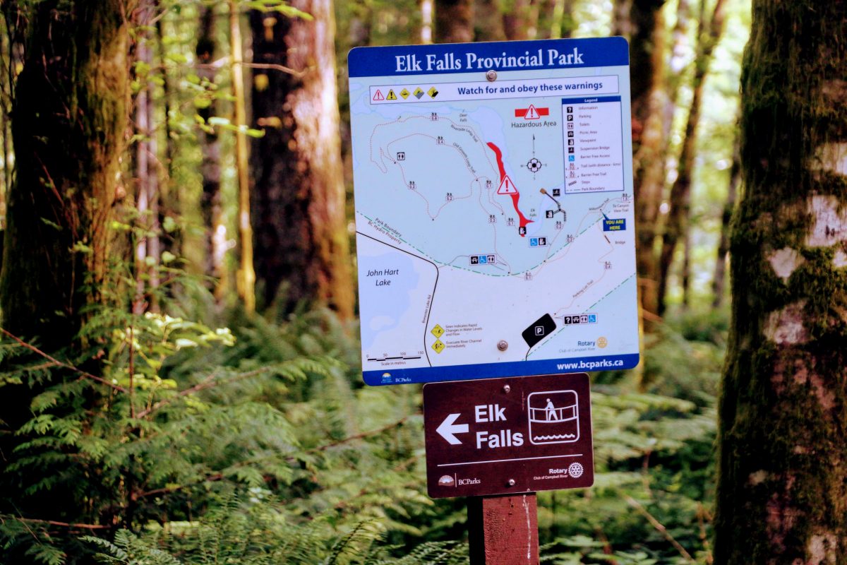 Elk Falls Suspension Bridge 