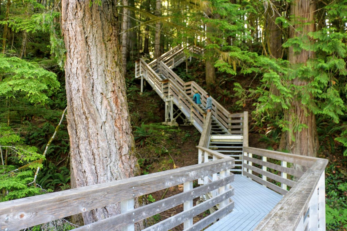 Trappen naar de Elk Falls Suspension Bridge