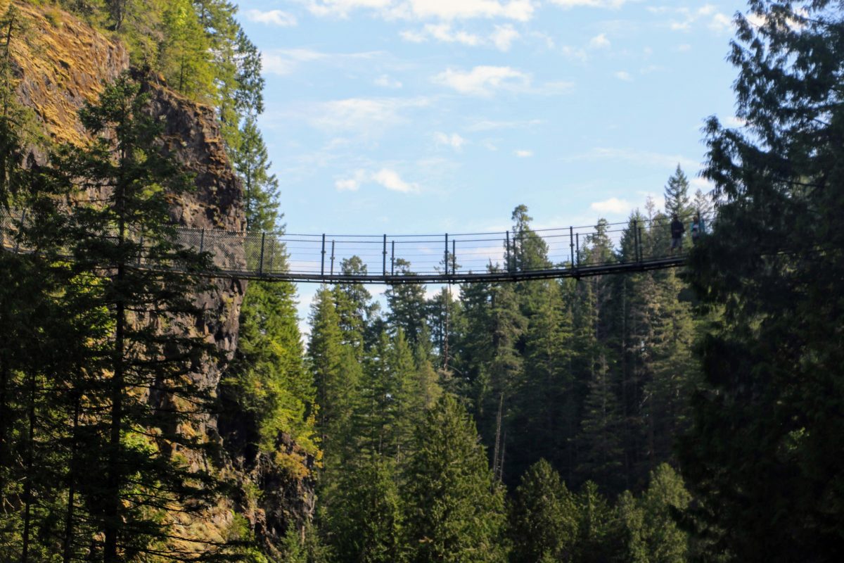 Hangbrug Elk Falls