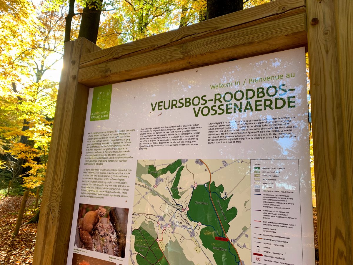 Veursbos - Roodbos - Vossenaerde