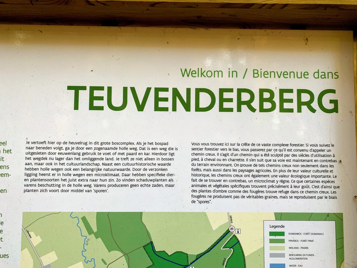 Teuvenderberg