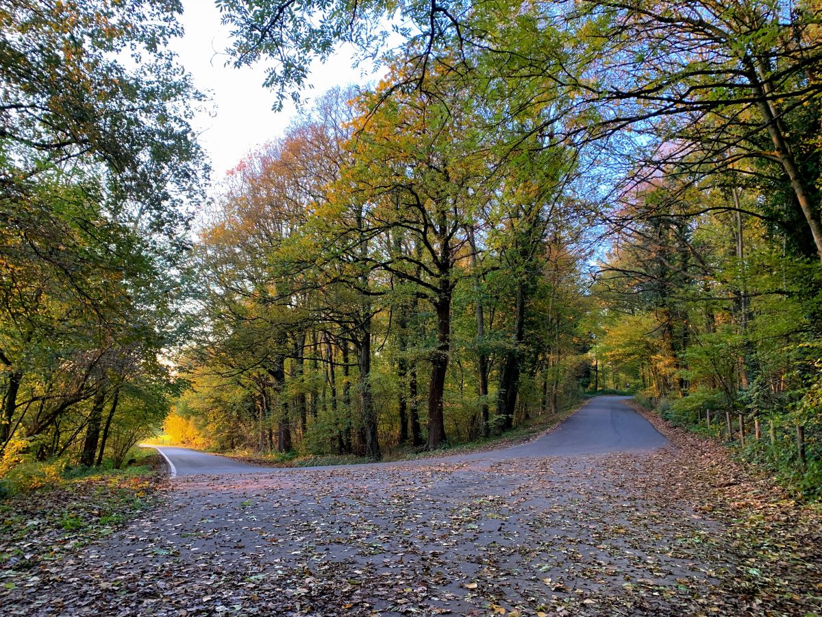 Wandelen in de Voerstreek