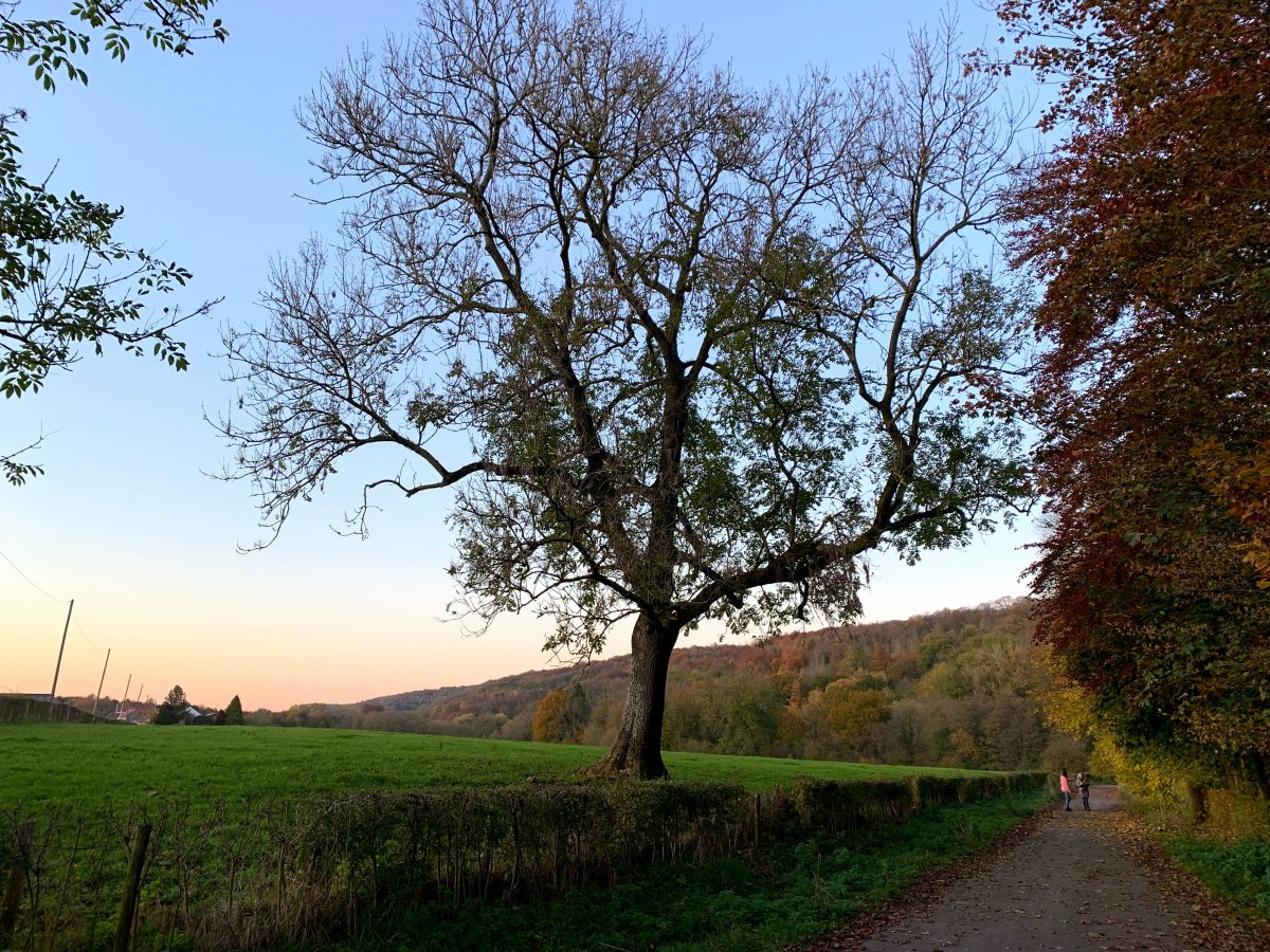 Wandelen in Remersdaal