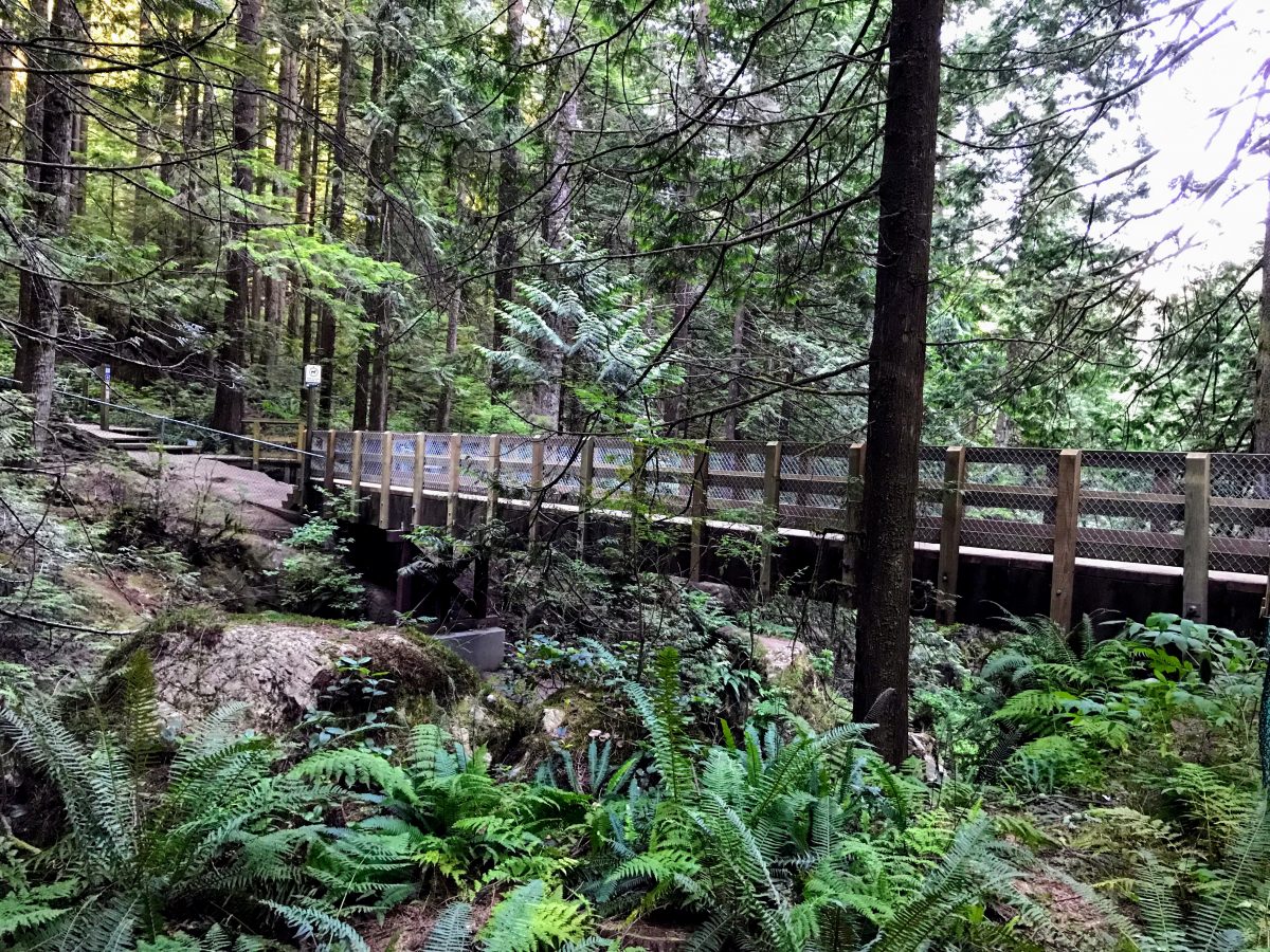 Twin Falls Bridge