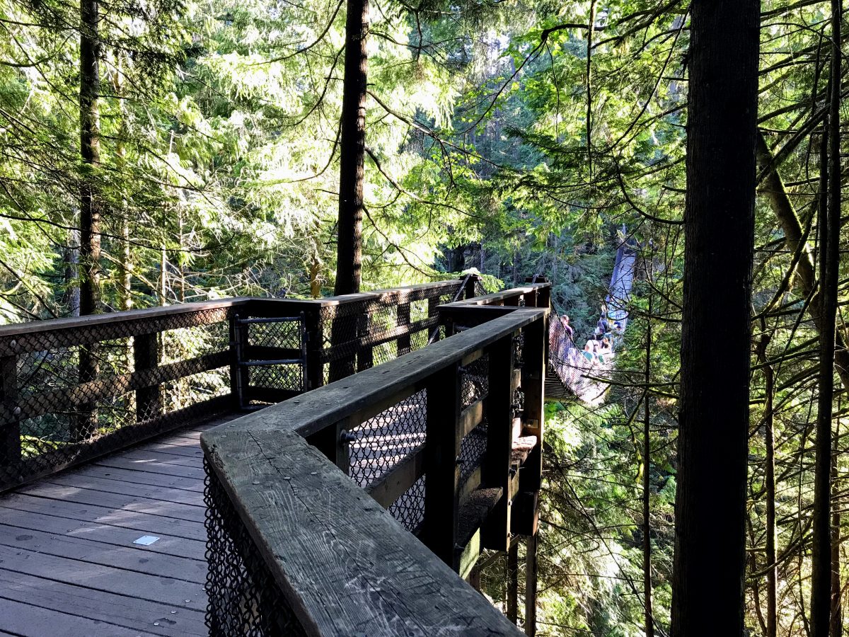 Lynn Canyon Park