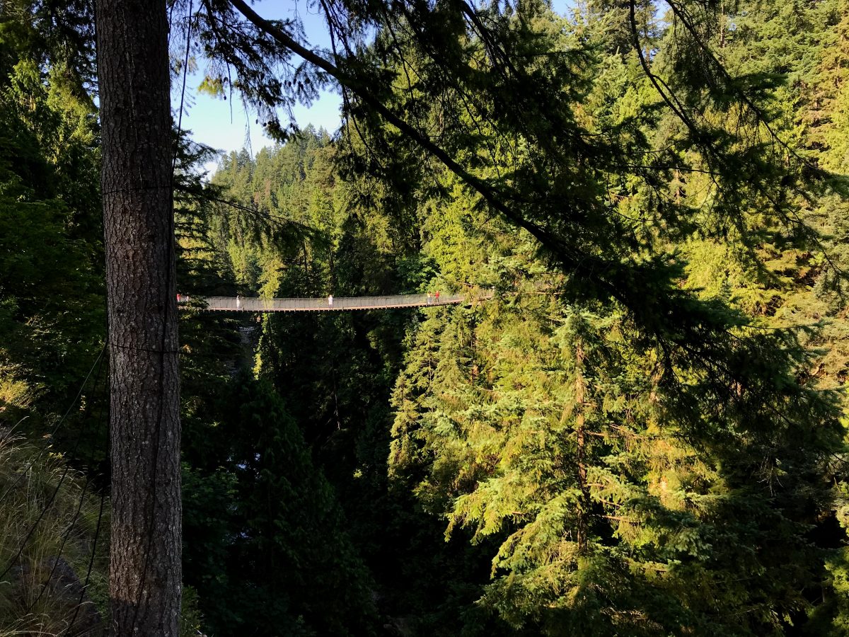 Capilano suspension bridge