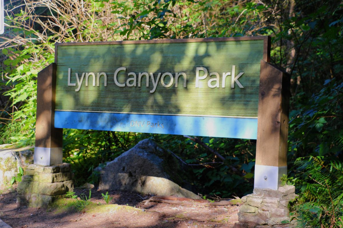 Twin Falls Hike in Lynn Canyon