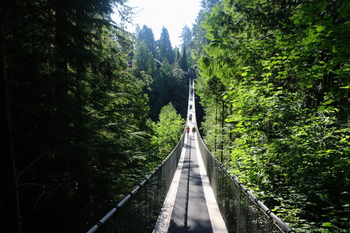 Capilano suspension bridge 