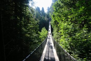 Capilano Suspension Bridge in Vancouver