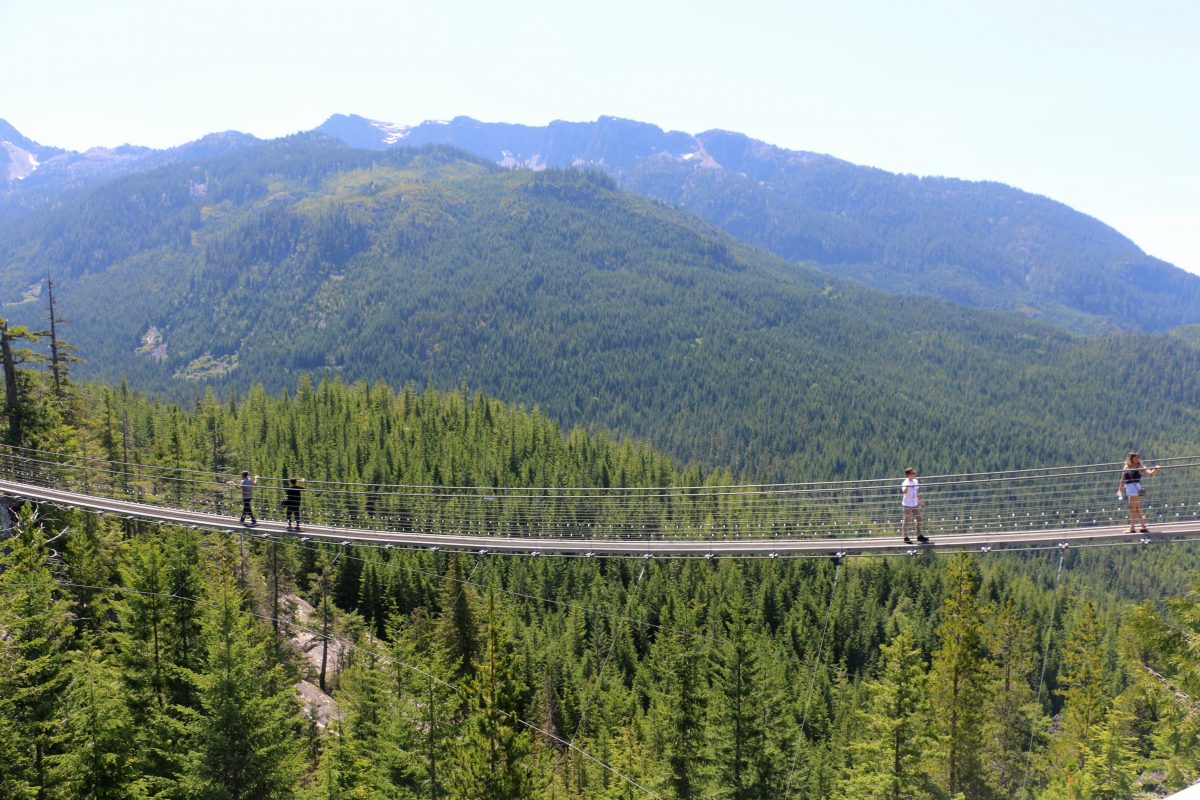 Sky Pilot Suspension Bridge