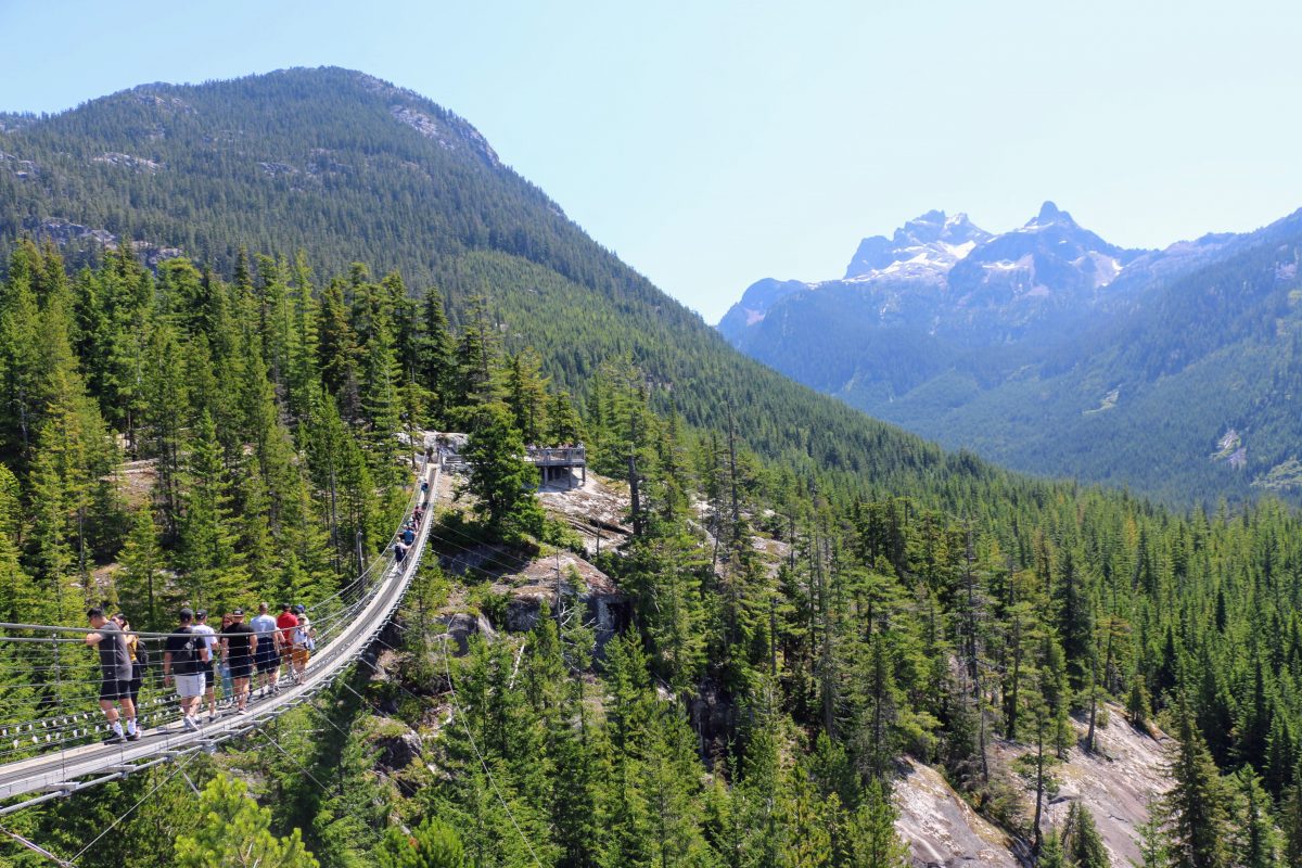 Sky Pilot Suspension Bridge