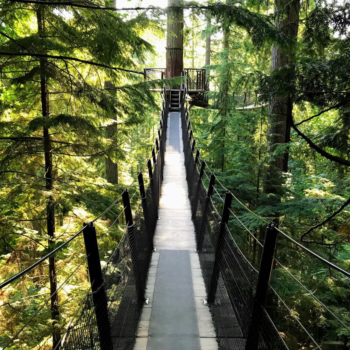 Treetops Adventure Vancouver