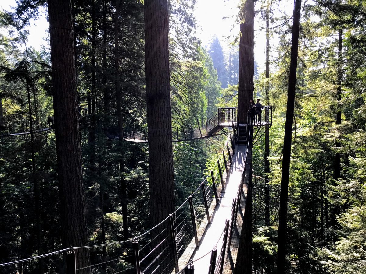 Treetops adventure Vancouver