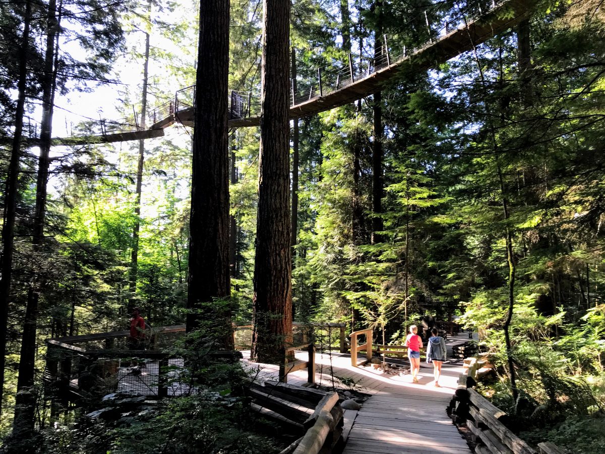 Boomtoppenpad in Capilano Suspensionbridge Park