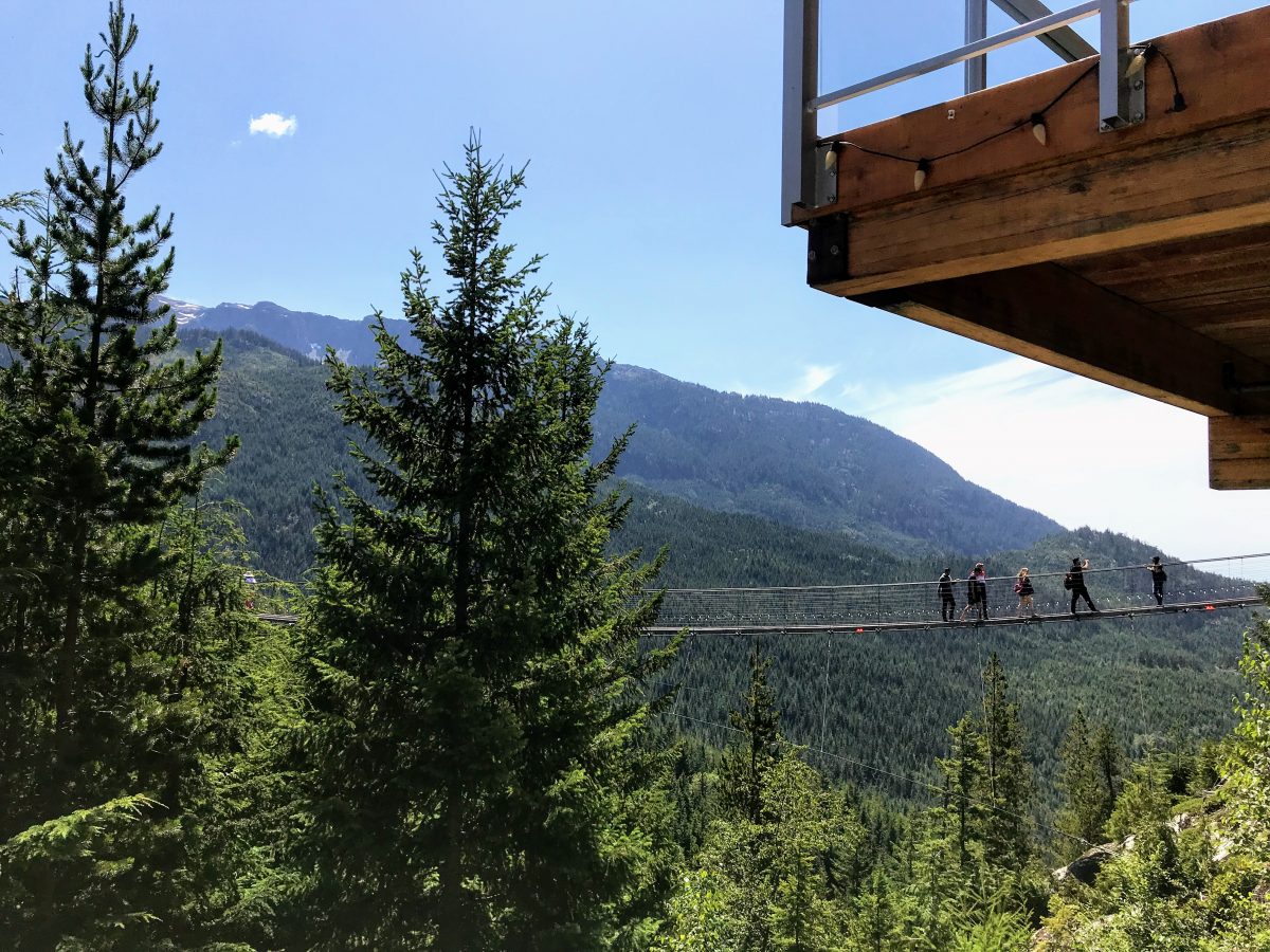 Sky Pilot Suspension Bridge