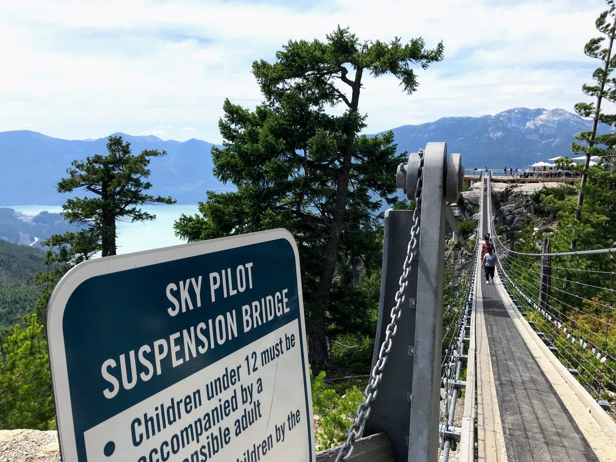 Sky Pilot Suspension Bridge