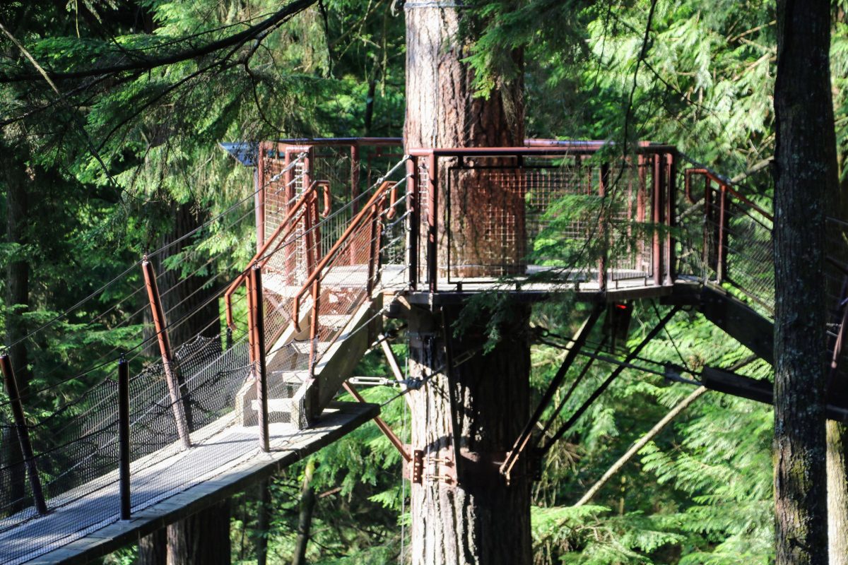 Treetops Adventure Vancouver