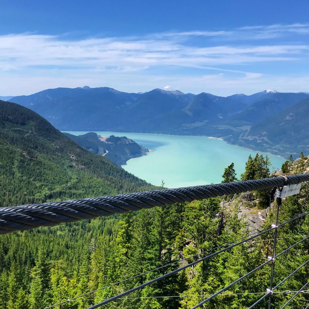 Sky Pilot Suspension Bridge