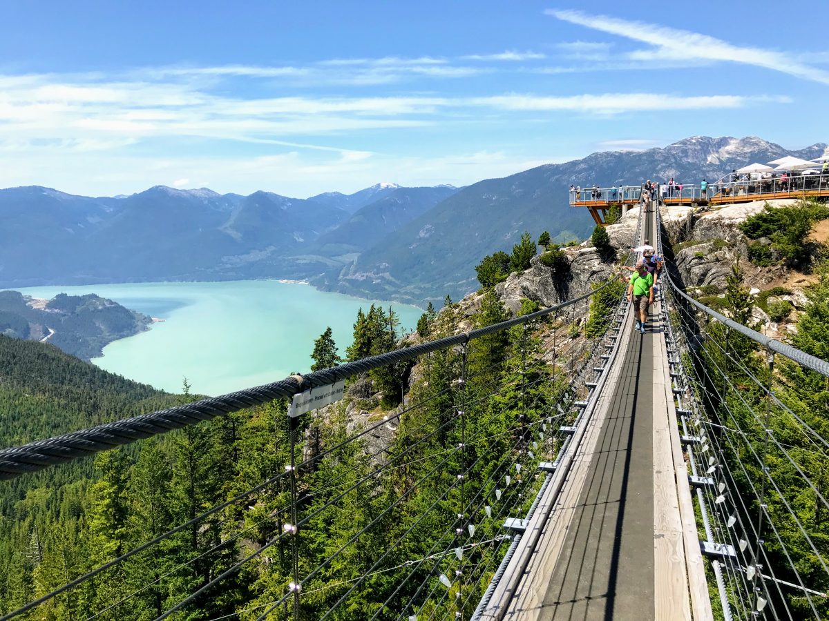 Sky Pilot Suspension Bridge