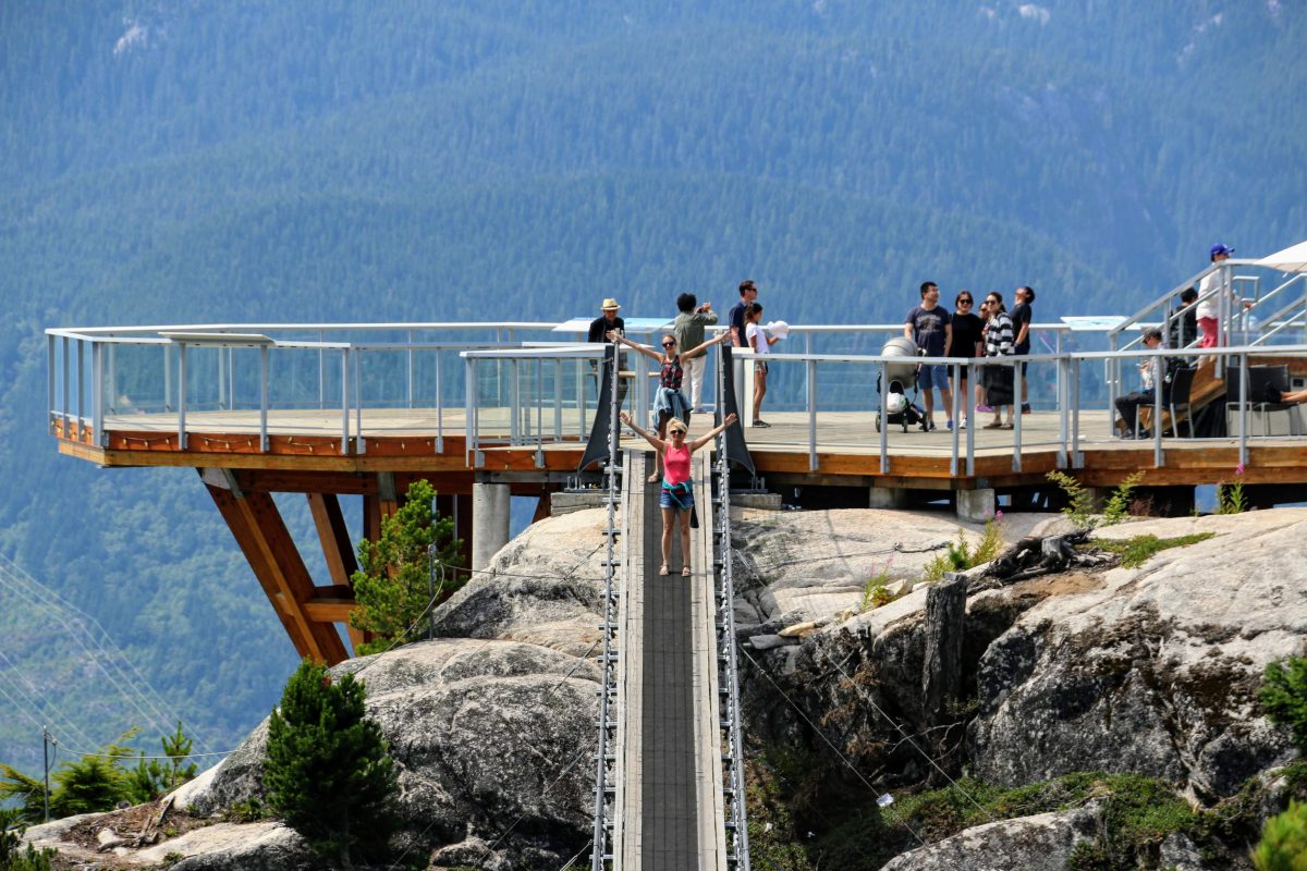 Sky Pilot Suspension Bridge