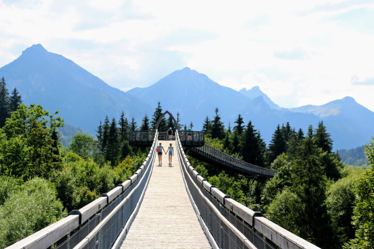 Baumkronenweg Ziegelwies