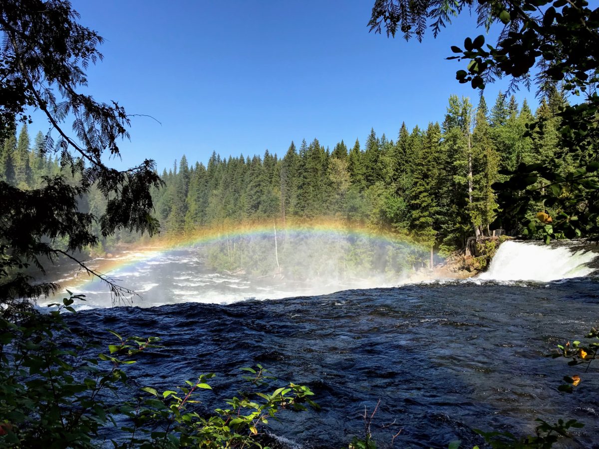 Regenboog boven waterval