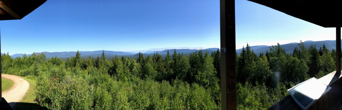 Uitkijktoren Wells Gray Provincial Park