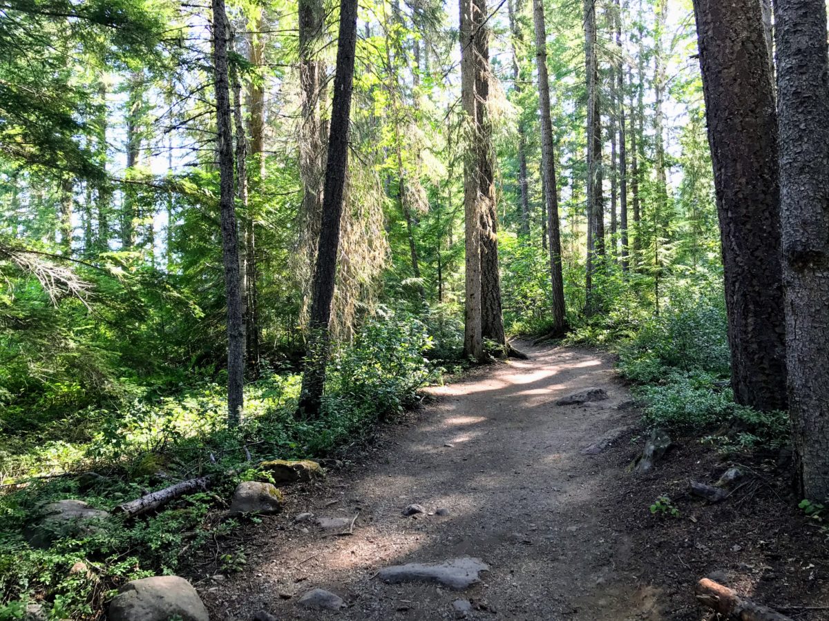 Wandeling naar Dawson Falls