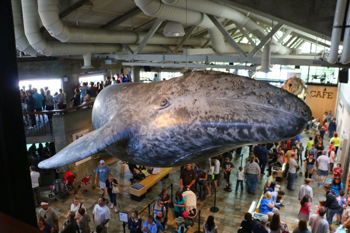 Monterey Bay Aquarium