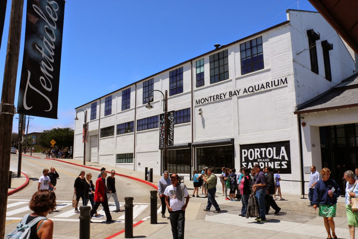 Monterey Bay Aquarium