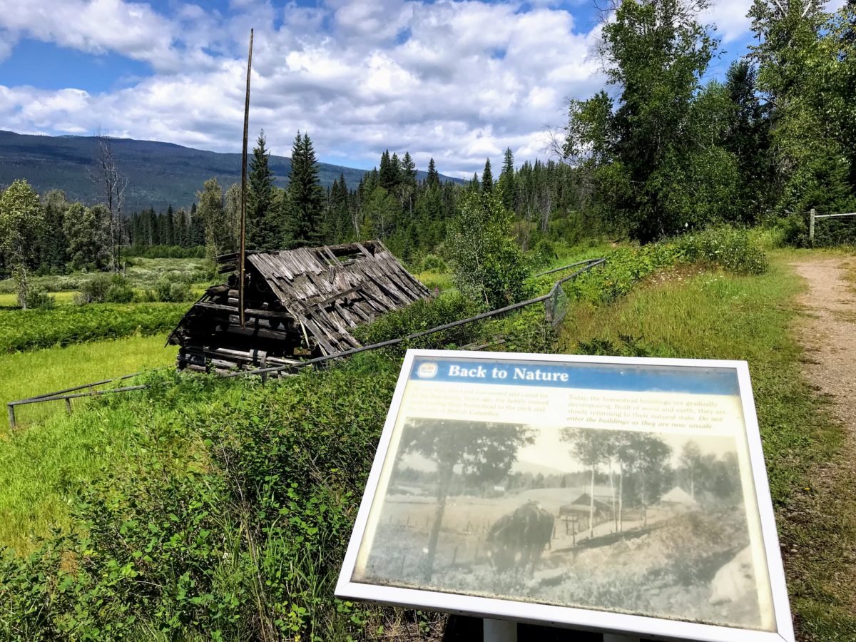 Ray Farm Wells Gray Park